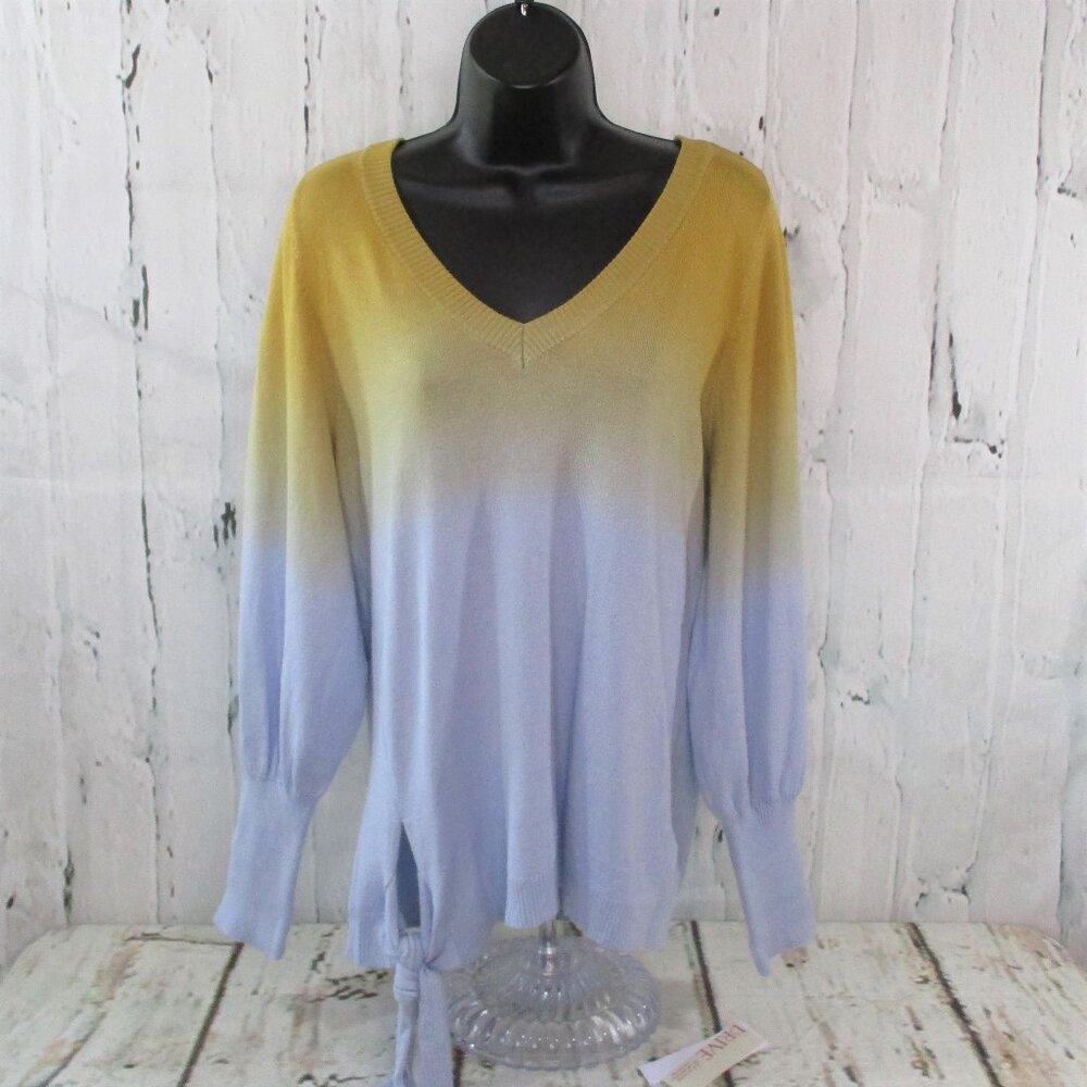 Willow Drive Dip Dye V-Neck Sweater